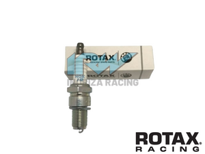 BUJIA ROTAX NGK GR9DI-8