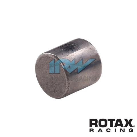 PIN PARA PIÑON ROTAX