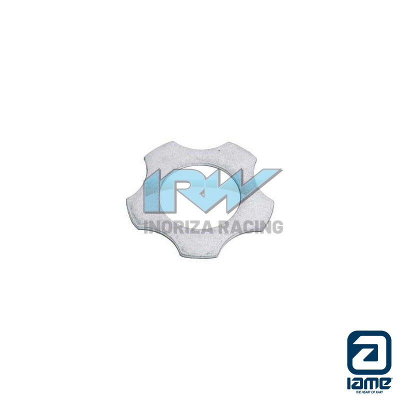 ARANDELA CIGUEÑAL IAME 20