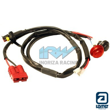INSTALACION ELECTRICA IAME 60