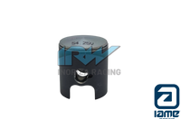 PISTON IAME 54.25 VERDE