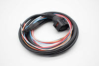 WIDEBAND INJEPRO COMPLETA CON ZONDA